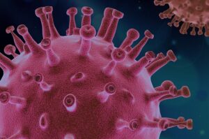 10 – Virus du rhume (HMPV)