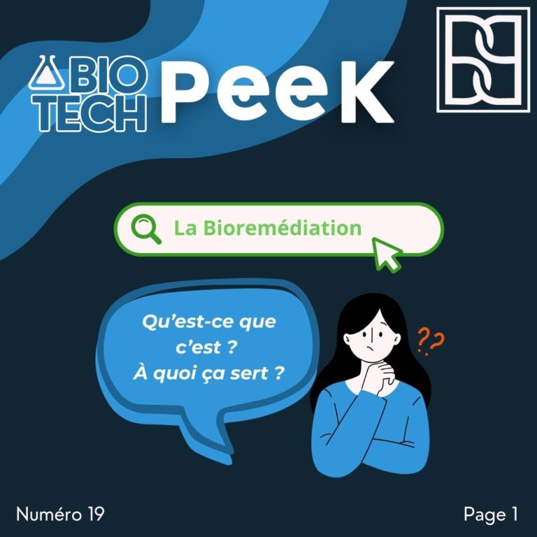 Page de garde