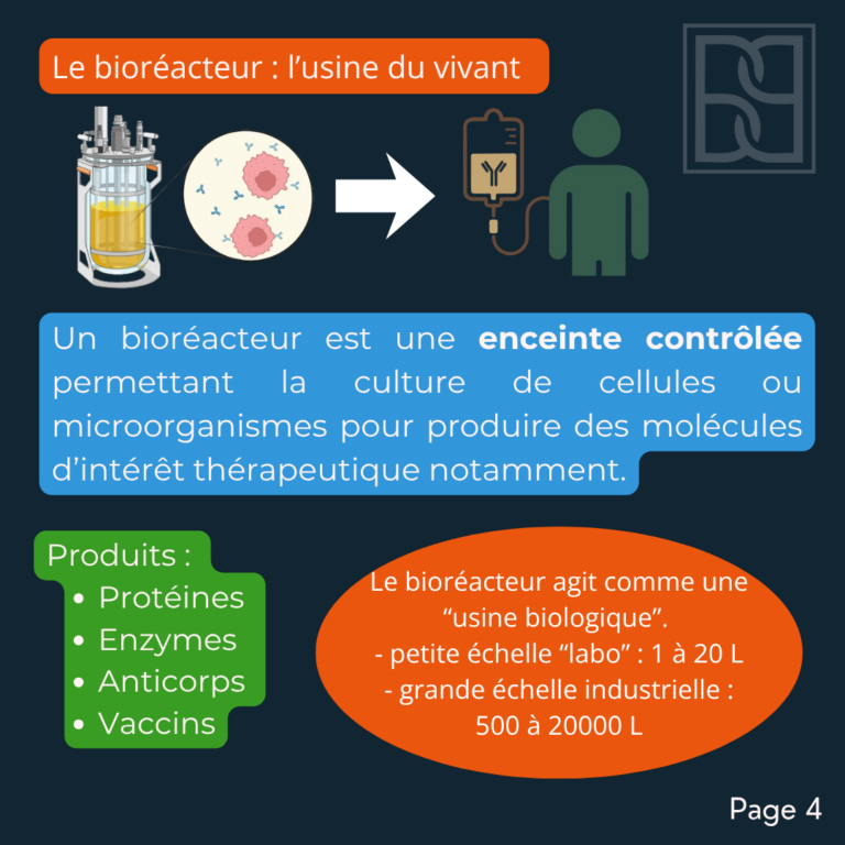 BP35 - Bioproduction (2)