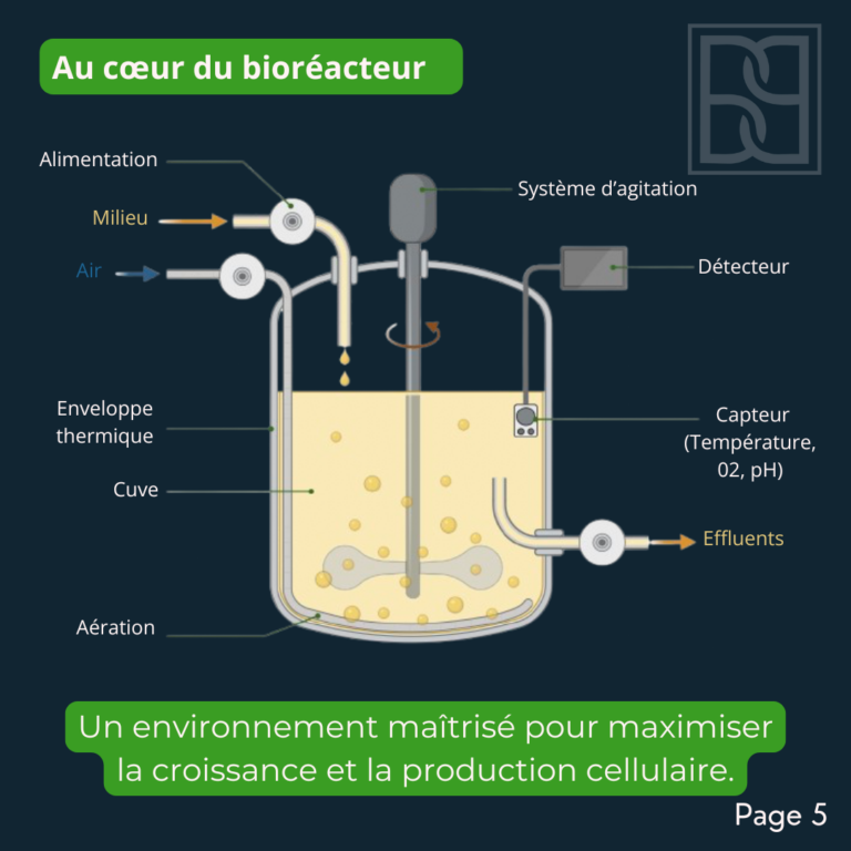 BP35 - Bioproduction (3)