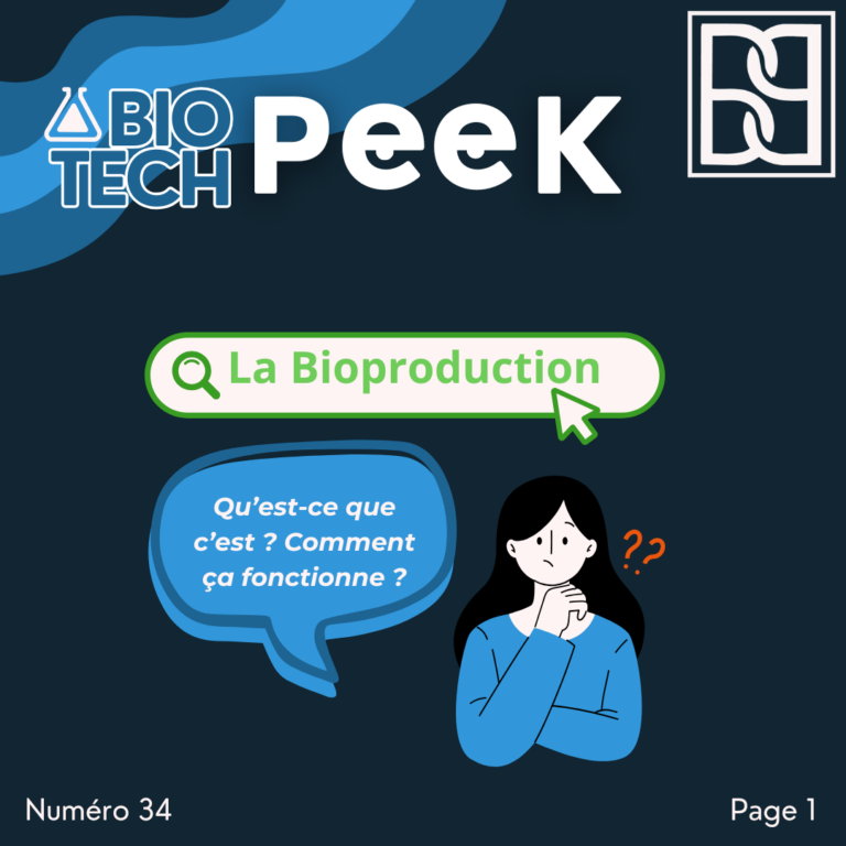 Page de garde (13)