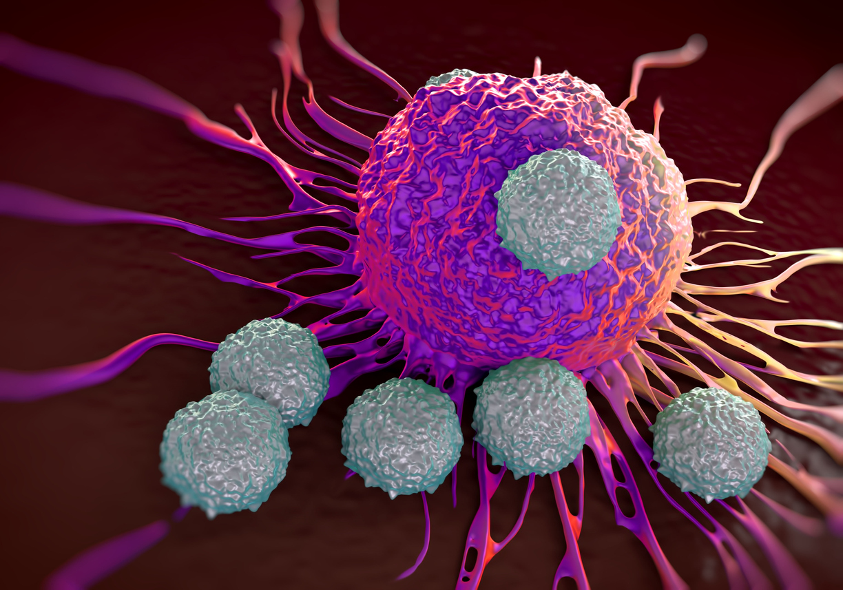 T-cells attacking cancer cell  illustration of  microscopic photosT-cells attacking cancer cell  illustration of  microscopic photos